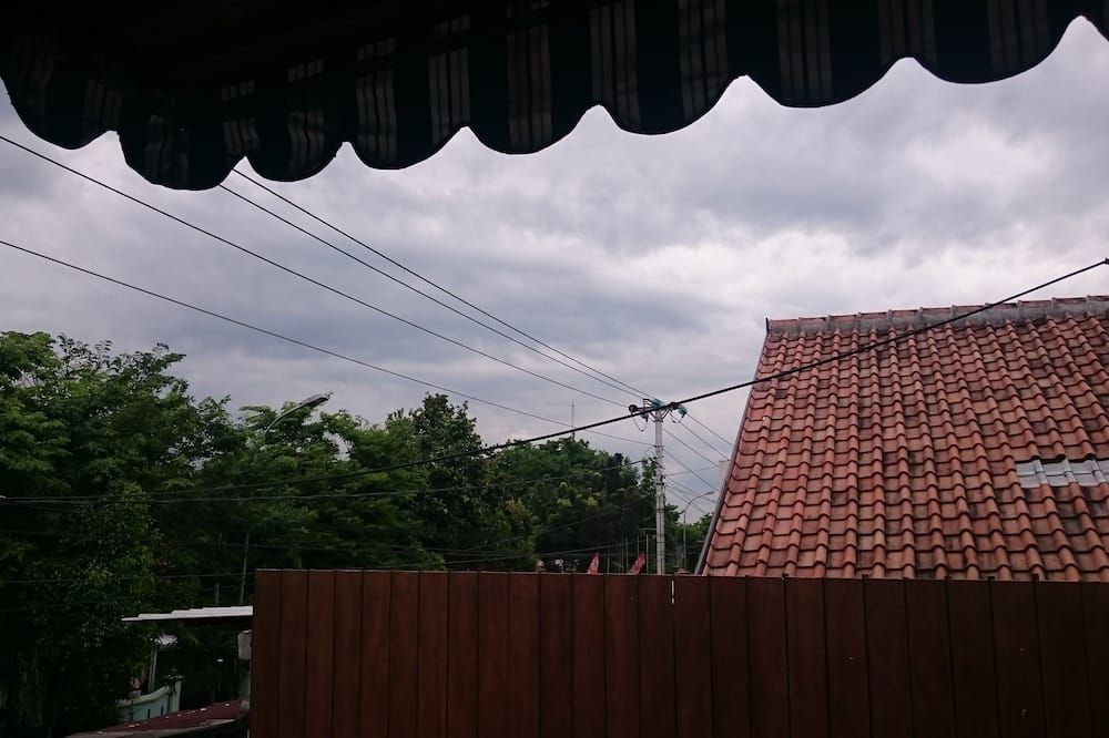 屋外の景色