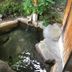 屋外の景色