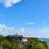 屋外の景色