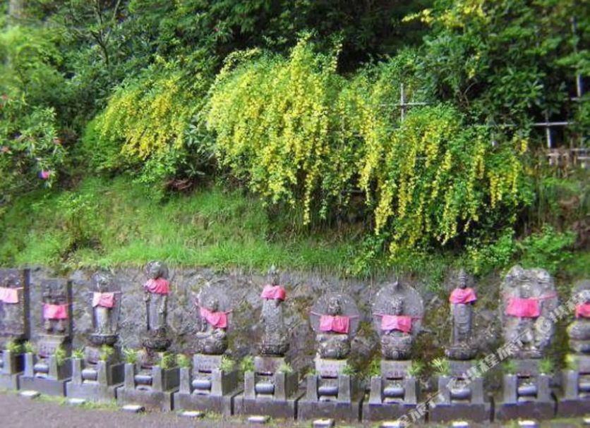 屋外の景色 写真