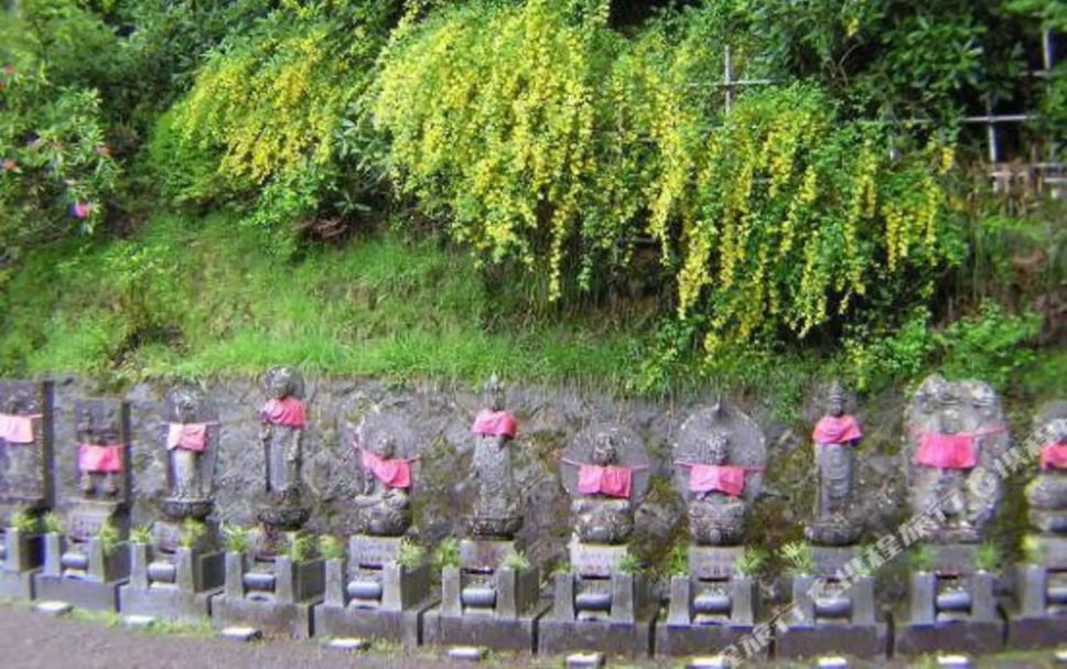 屋外の景色 写真
