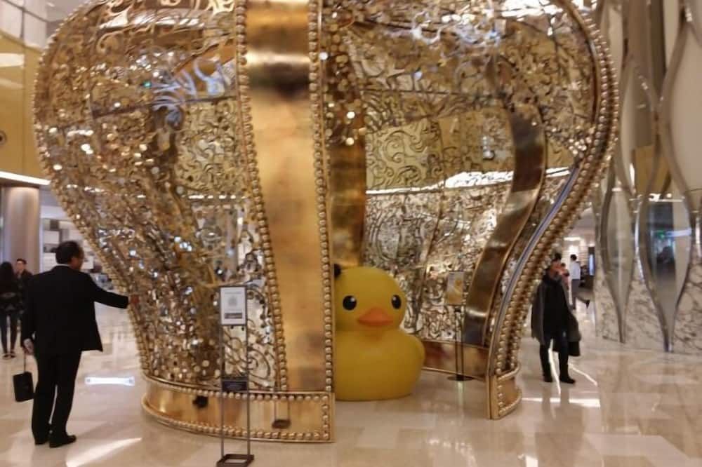 その他 写真