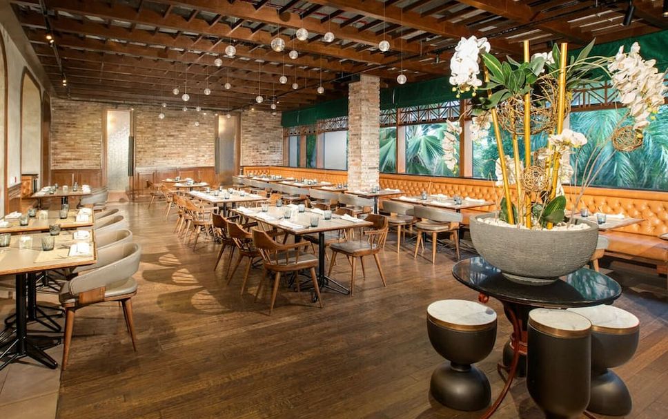 レストラン 写真