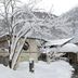 屋外の景色