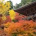 屋外の景色