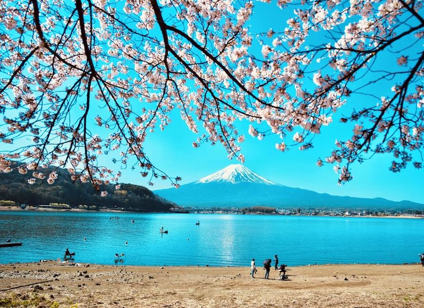その他 写真