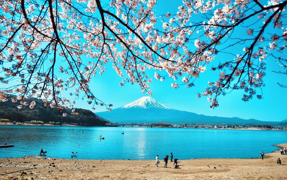 その他 写真