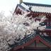 屋外の景色