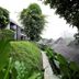 屋外の景色