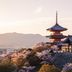 屋外の景色