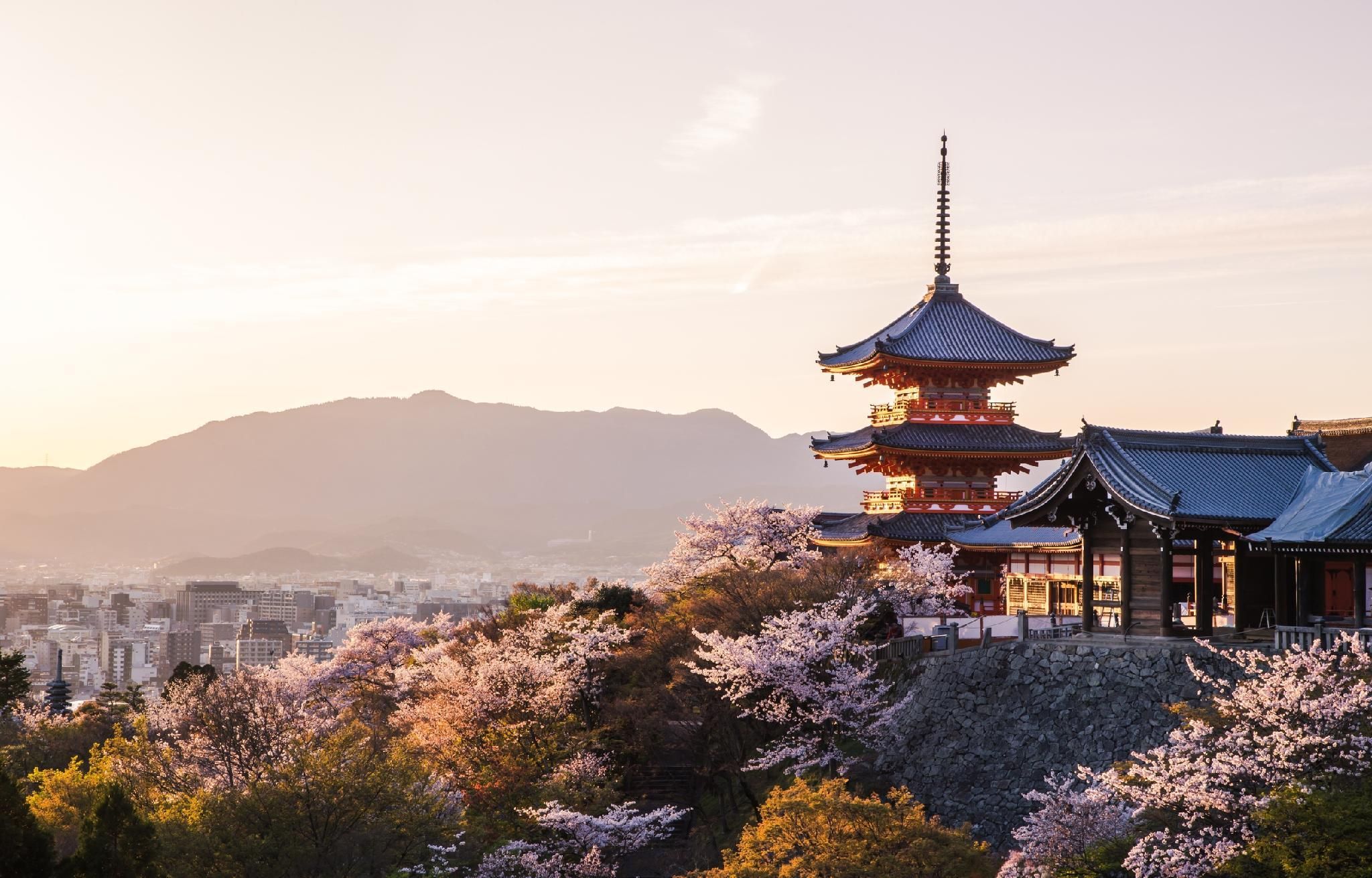屋外の景色
