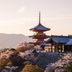 屋外の景色