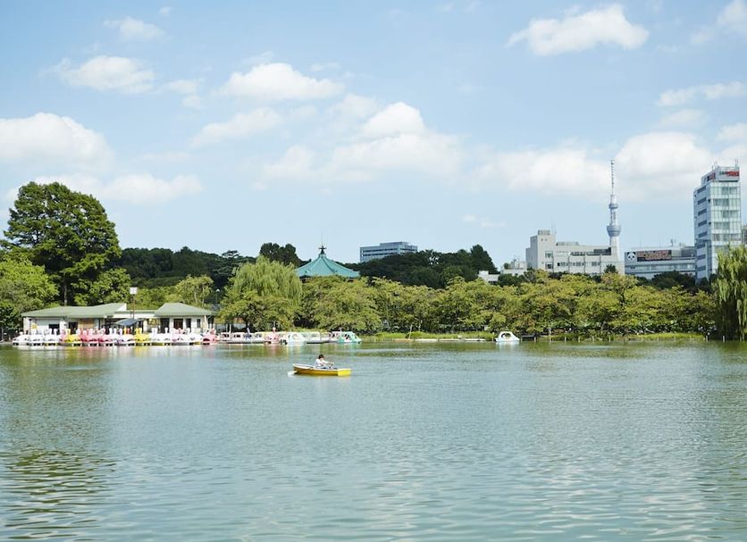 屋外の景色 写真
