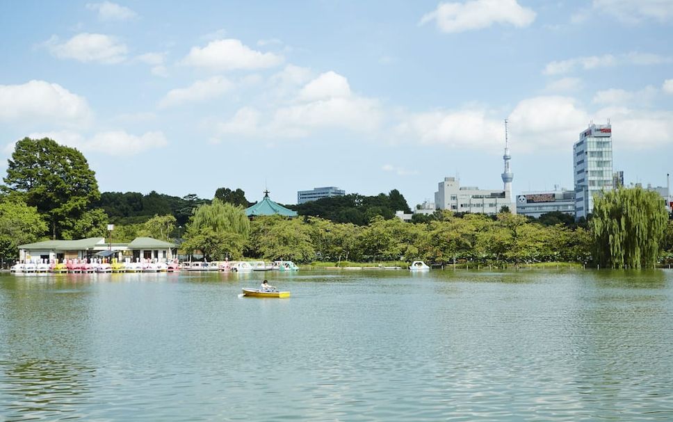 屋外の景色 写真