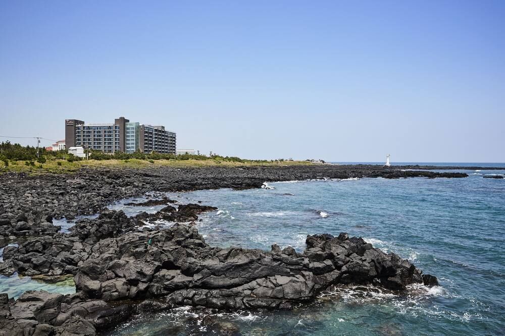 屋外の景色