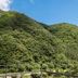 屋外の景色