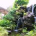屋外の景色