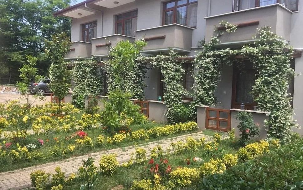 屋外の景色 写真