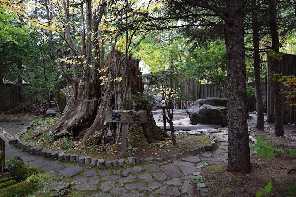 屋外の景色