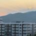 屋外の景色