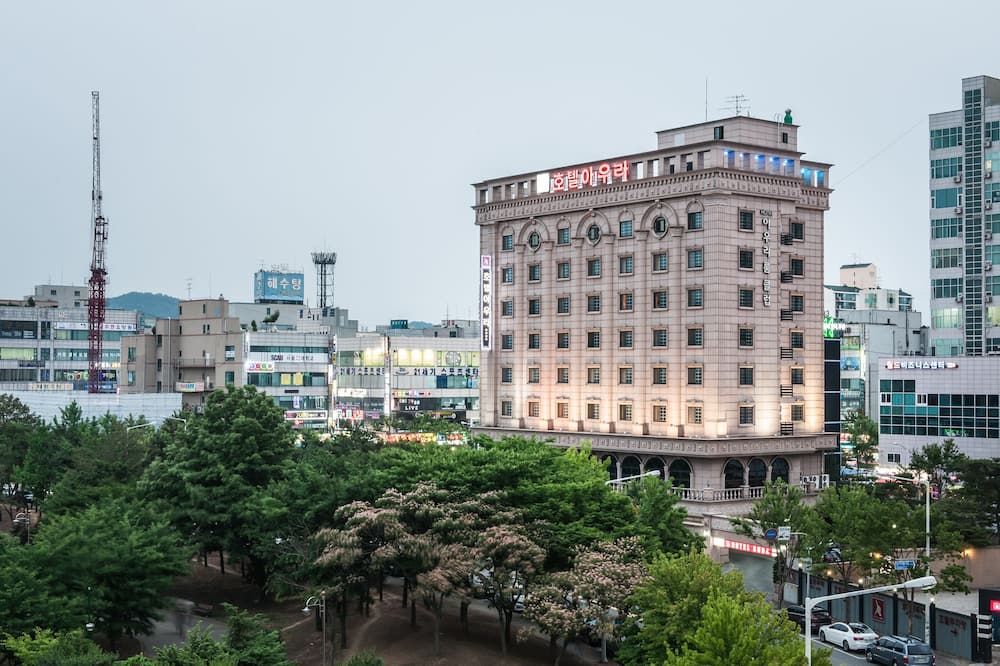 屋外の景色