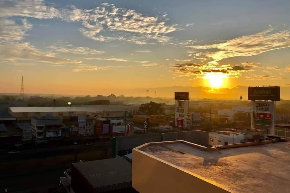 屋外の景色