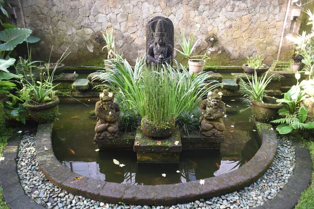 屋外の景色