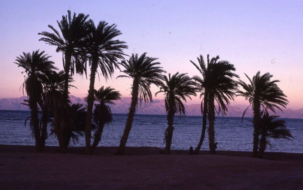 屋外の景色 写真