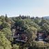 屋外の景色