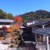 屋外の景色
