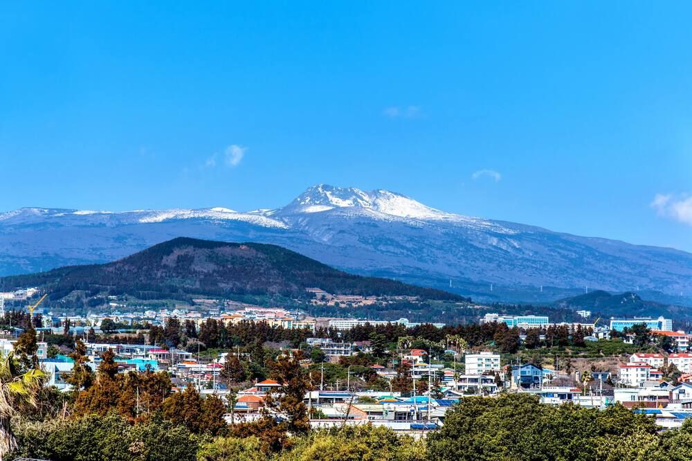 屋外の景色