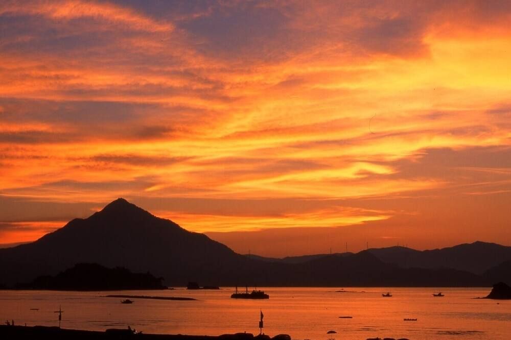 屋外の景色