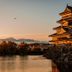 屋外の景色