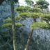 屋外の景色