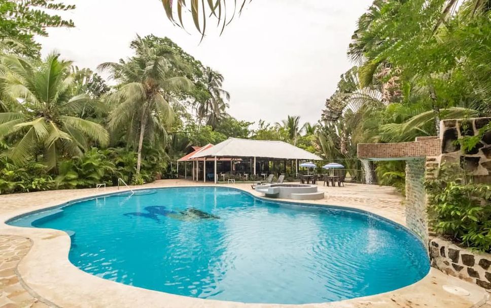 プール 写真