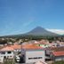 屋外の景色