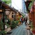 屋外の景色