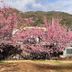 屋外の景色