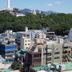 屋外の景色