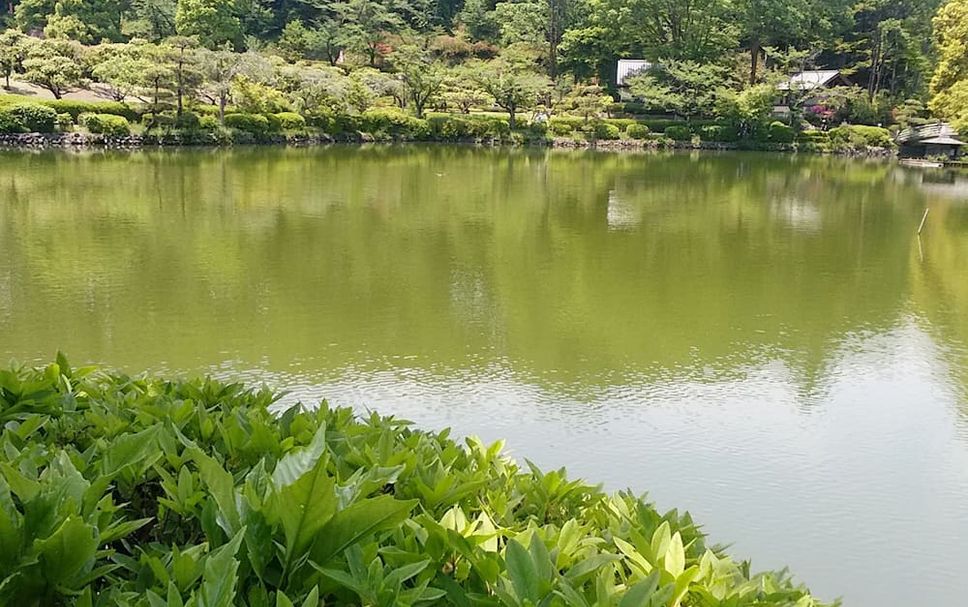 屋外の景色 写真