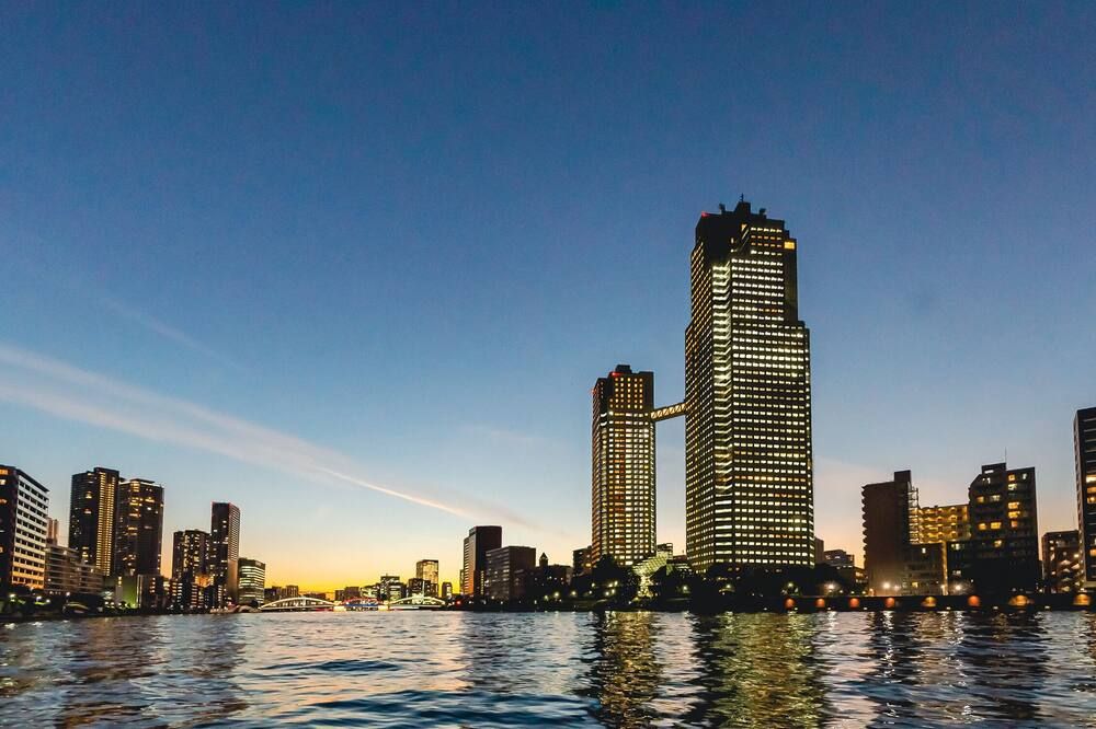 屋外の景色