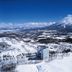 屋外の景色