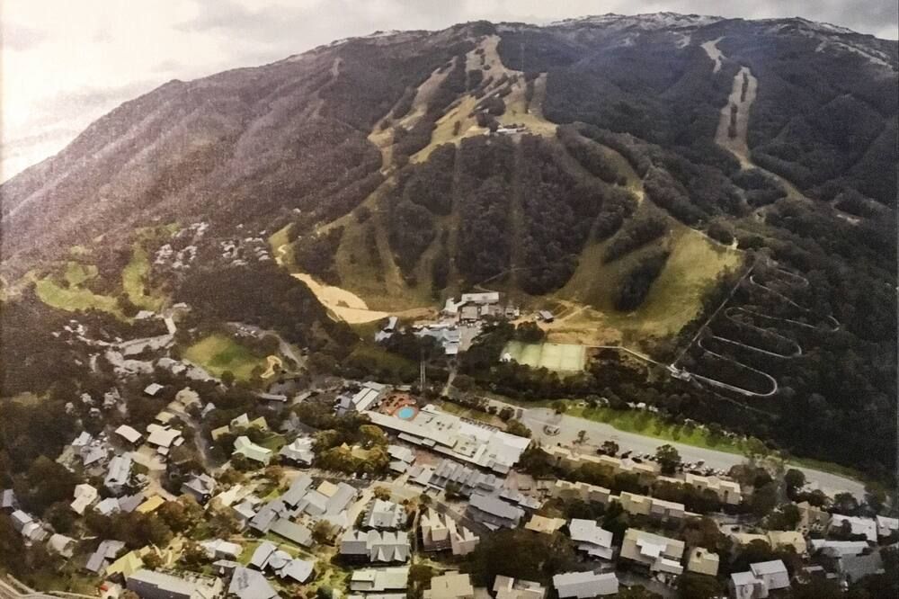 屋外の景色