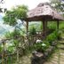 屋外の景色