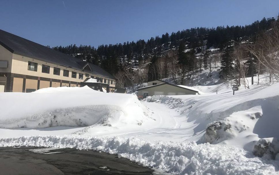 屋外の景色 写真