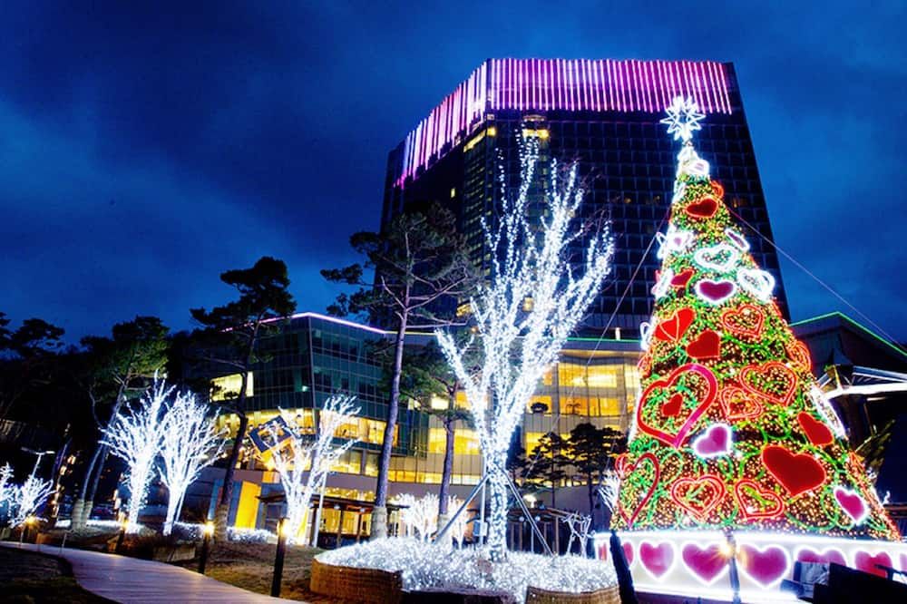 建物 写真