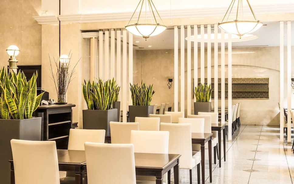 レストラン 写真