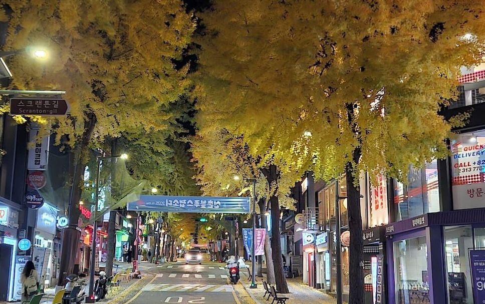 屋外の景色 写真