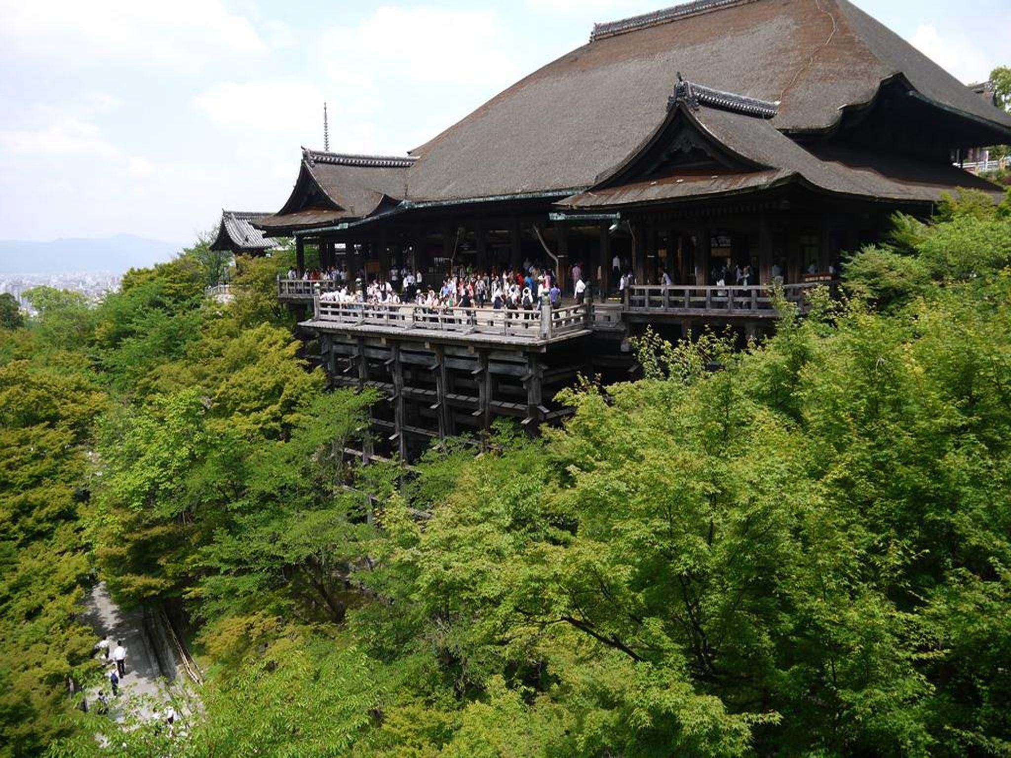 屋外の景色