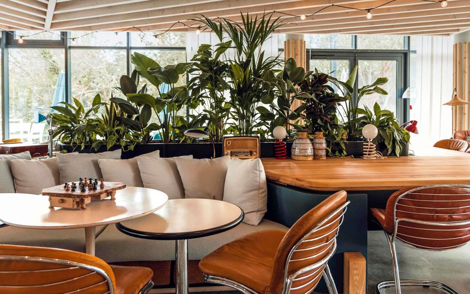 レストラン 写真